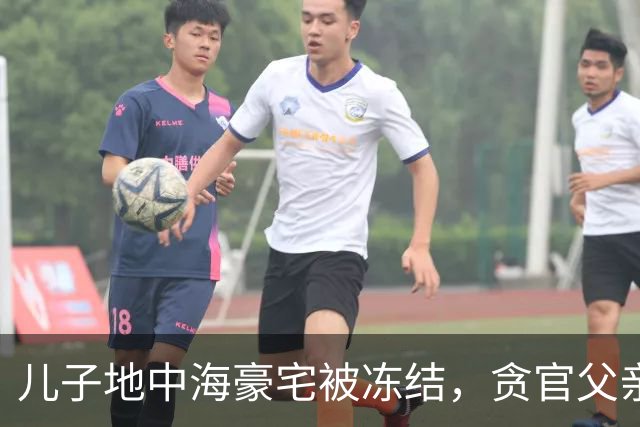 儿子地中海豪宅被冻结，贪官父亲两年前被执行死刑